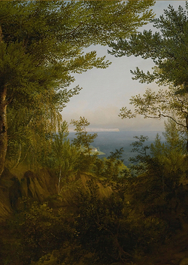 Forest View of a Distant Landscape
