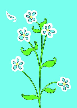 Daisy Plant With Five Flowers