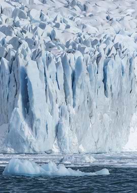 Glacier face with icebergs