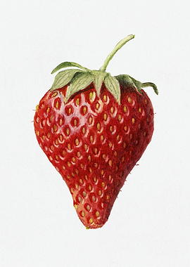 Watercolor Painting of a Strawberry