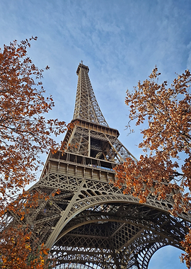 Eiffel Tower in Autumn