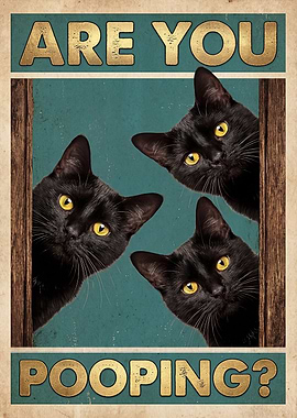 Three Black Cats Peeking