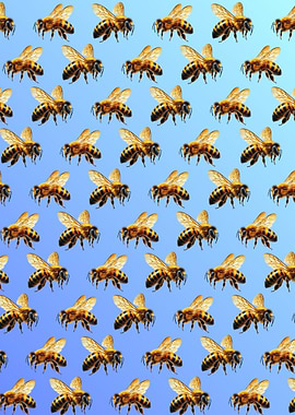 Pattern of Honey Bees on Blue Gradient