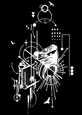 Geometric Camera and Birds