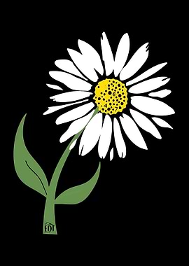 Daisy Flower Illustration with Black Background