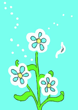 Large Daisies On A Summer Day