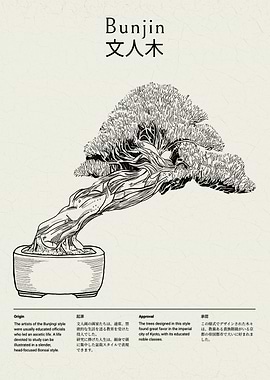 Bunjin Bonsai Style Illustration