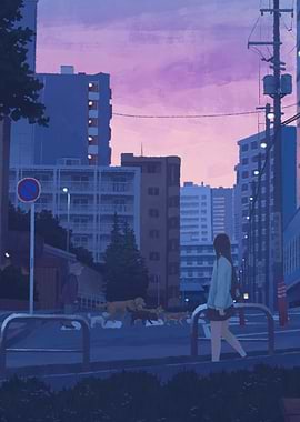 Girl walking dogs at sunset