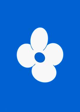 White Flower on Blue Background