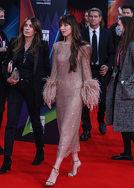 Dakota Johnson on Red Carpet