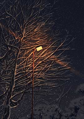 Snowy Night with Streetlight