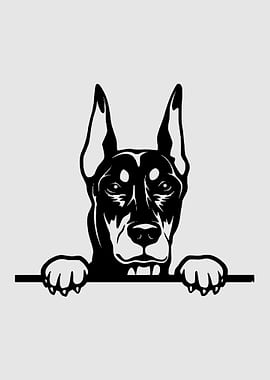 Doberman Peeking Over Fence