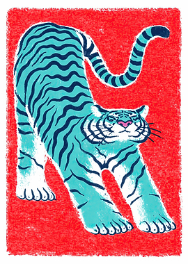 Turquoise Tiger Stretching on Red Background