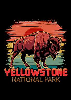 Yellowstone National Park Bison Sunset