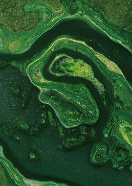 Aerial View of Green Waterways and Islands