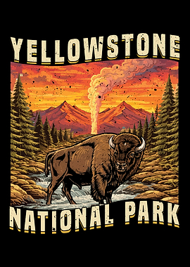Yellowstone National Park Bison