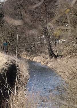 Winter stream with trees and sign