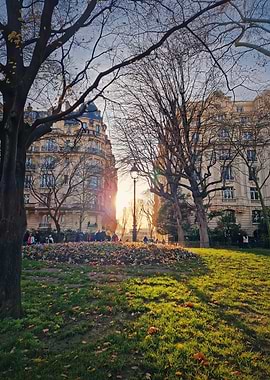 Parisian Park at Sunset