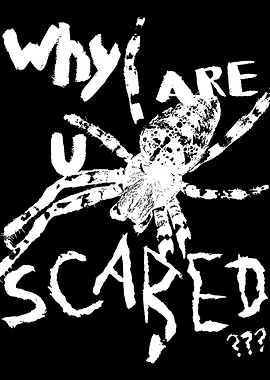 Spider Why Are You Scared Text Art