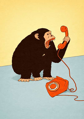 Chimpanzee on the phone