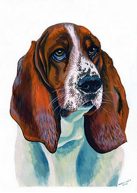 Basset Hound Portrait Painting gouache