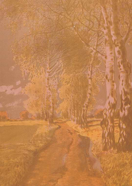 Path through Birch Trees