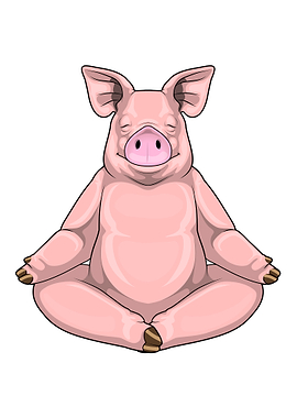 Pig Yoga Fitness Meditation