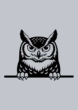 Black Owl Peeking Over a Ledge