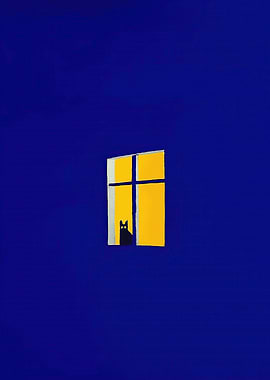 Black cat in a window