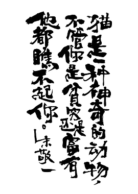 Chinese Calligraphy with Cat Quote