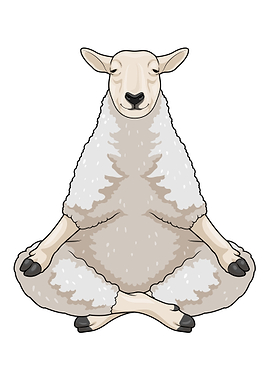 Sheep Yoga Fitness Meditation