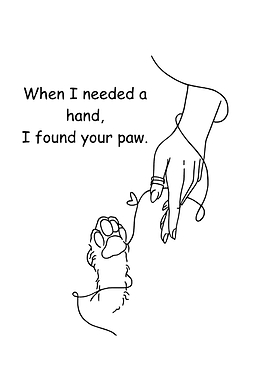 Human Hand and Paw Connection