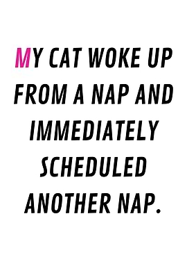 Full-time nap schedule