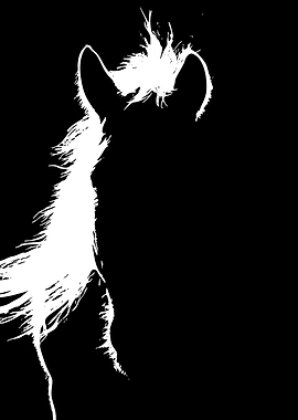 Silhouette of a Horse's Head