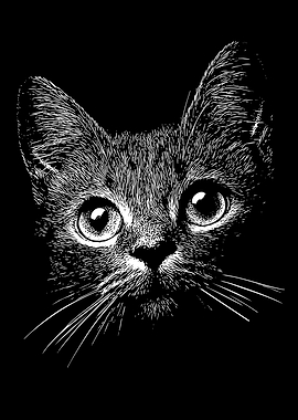 Close-up of a kitten's face