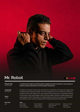 Mr. Robot TV Show Poster