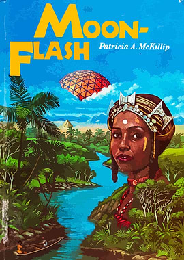 Moon-Flash Book Cover