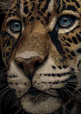 Close-up of a Jaguar's Face