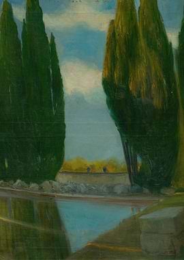 Cypress trees reflected in water