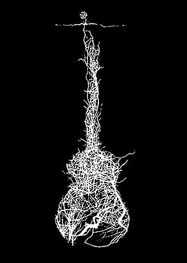 Guitar made of white organic lines on black