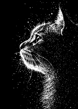 Black Cat Silhouette with Splatter Effect