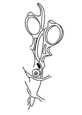 Stylized Scissors Tattoo Design