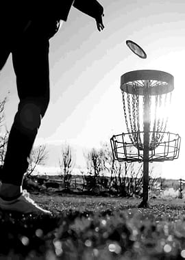 Disc Golf Throw into Basket