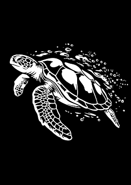 White Sea Turtle Illustration