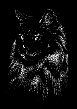 Black Cat Portrait