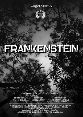 Frankenstein Movie Poster