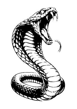 Aggressive Cobra Snake Illustration