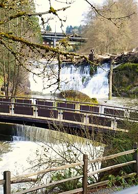 Waterfall with Bridge and Trees