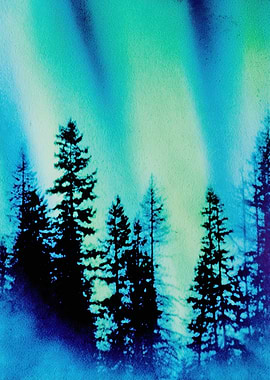 Aurora Borealis Over Pine Forest