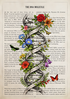 DNA Molecule with Flowers and Butterflies